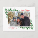 Search for pine needles christmas cards Holly