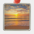 Search for seaside christmas decor Ocean
