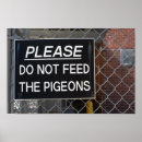 Search for feed posters Photography