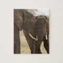 Recherche de éléphant africain puzzles Nature