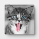 Search for selected baby kids Cute animals