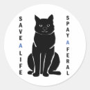 Search for feral stickers Tnr