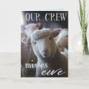 Recherche de sheep cards Drôle