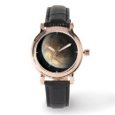 Search for astrophysics watches Universe