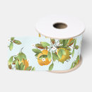 Recherche de fruit tropical rubans Nourriture
