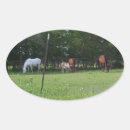 Search for equine stickers Beauty