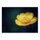 Recherche de renoncule cartes postales Vert