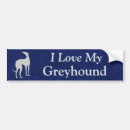 Search for greyhound bumper stickers Rescue