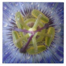 Search for passion tiles Nature
