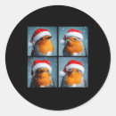 Search for robin redbreast stickers Merry christmas