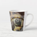 Search for tortoise shell mugs Pet