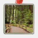 Search for marine ornaments Usa