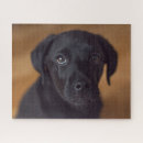 Search for black labrador puzzles Dog
