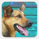 Search for dog happy face stickers Puppy