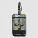 Recherche de animal de ferme bagages étiquettes Vache laitière