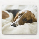 Search for hound puppy mousepads Cute