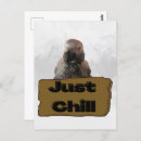 Recherche de perroquets cartes postales Pour tous