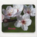 Recherche de prune tapis souris Fleur de prune