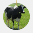 Recherche de le holstein ornements Ferme
