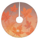 Search for maple tree Autumn