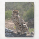 Search for african nations mousepads Wildlife