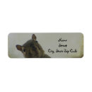 Search for funny squirrel return address labels Rodent
