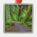 Search for olympic national park ornaments Usa