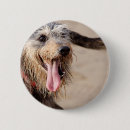 Search for sea dog buttons Pet