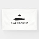 Recherche de 2ème amendement Texan