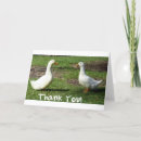 Search for ducky thank you cards Ducks