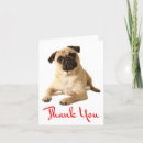 Search for pug thank you cards Puppies