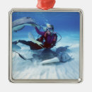 Search for islands ornaments Sea