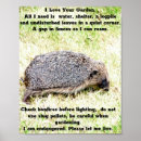 Search for hedgehog posters animals