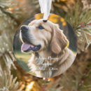 Search for pet loss ornaments Rainbow bridge
