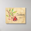 Recherche de sorciere toiles Magique