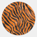 Search for tiger stripe stickers Orange