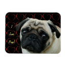 Search for pug lovers magnets Dogs