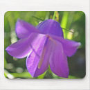 Search for bellflower electronics Blue
