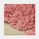 Recherche de bacterie magnets Horizontal