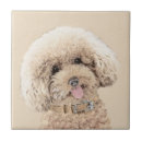 Recherche de miniature carreaux Caniche