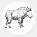 Recherche de chèvre montagne autocollants Animal