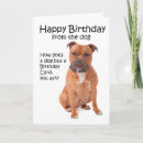 Search for staffordshire bull terrier cards Pet