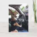 Recherche de salutation animaux articles Pour animaux