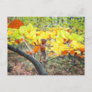 Recherche de hêtre cartes postales Automne