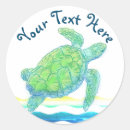 Search for marine envelope seals Sea life
