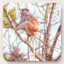 Recherche de singe dessous de verres Feuille