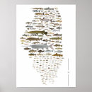 Recherche de poissons posters Pour lui