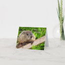 Search for groundhog day birthday cards Woodchuck