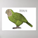 Search for cartoon owl posters Nocturnal