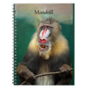 Recherche de primates carnets Animal
